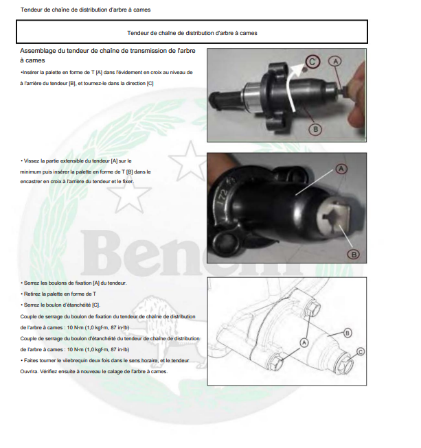 Manuel d'atelier Benelli BN 302 français Docautomoto