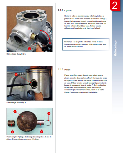 Manuel d'atelier Beta EVO 2T 2009 2015 français Docautomoto