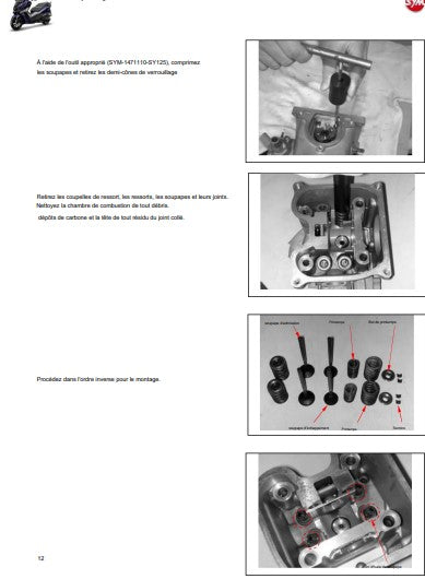 Manuel d'atelier Sym 300 Cruisym 2021 français { {{ Docautomoto }}