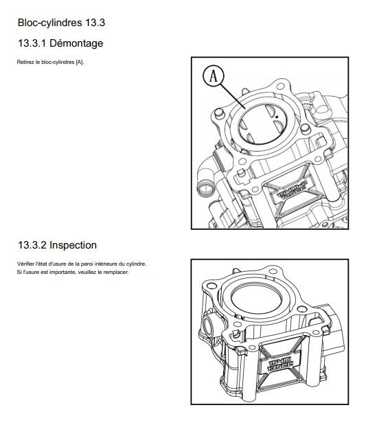 Manuel d'atelier QJMotor SRK 125R
