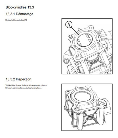 Manuel d'atelier QJMotor SRK 125R