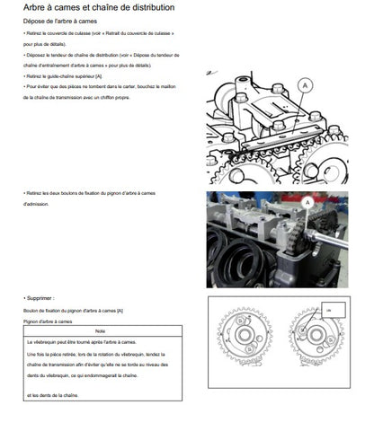 Manuel d'atelier QJ Motor SRT 700 X 2026 français