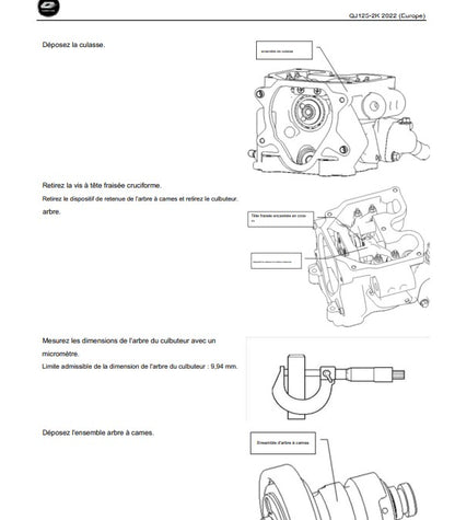 Manuel d'atelier QJmotor SRV 125 français