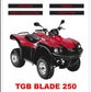 manuel d'atelier TGB Blade 250 français { AUTHENTIQU'ERE